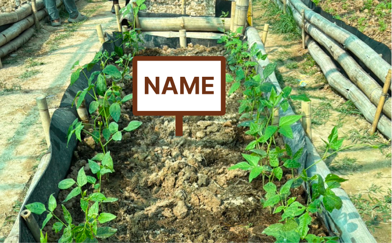 農地一角命名権（お好きなお名前を看板に入れて畑に飾ります）