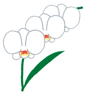 ~幸福が飛んでくる~【蘭をあげる】