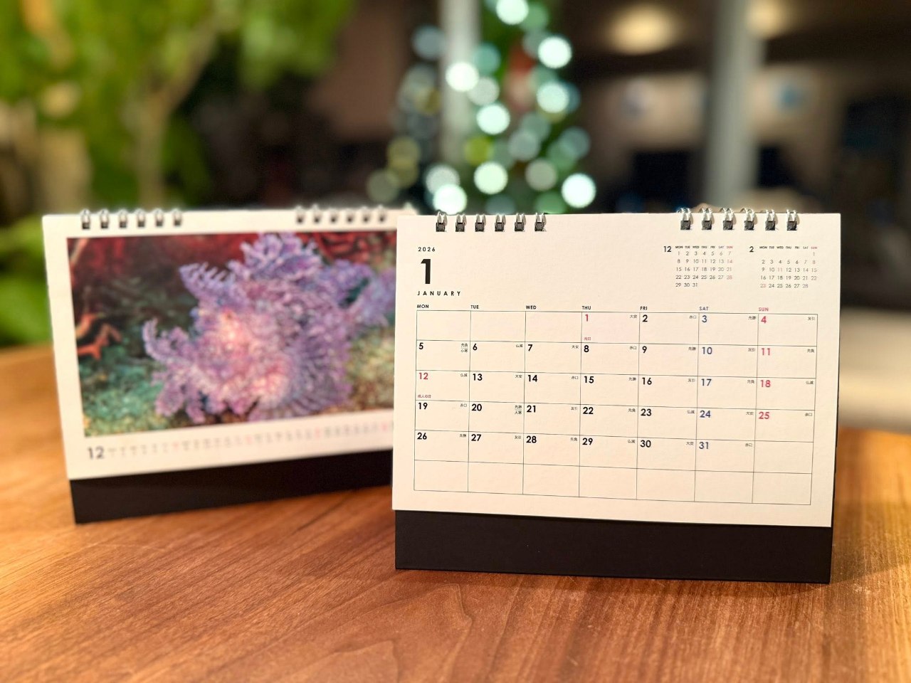 ずーっとチャレンジ応援！