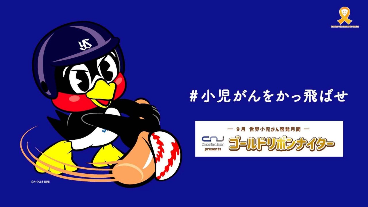 img-cover