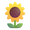 🌻