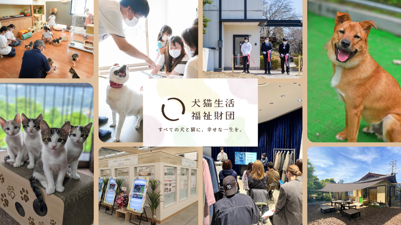【毎月のご寄付（定期寄付）】 犬猫生活福祉財団