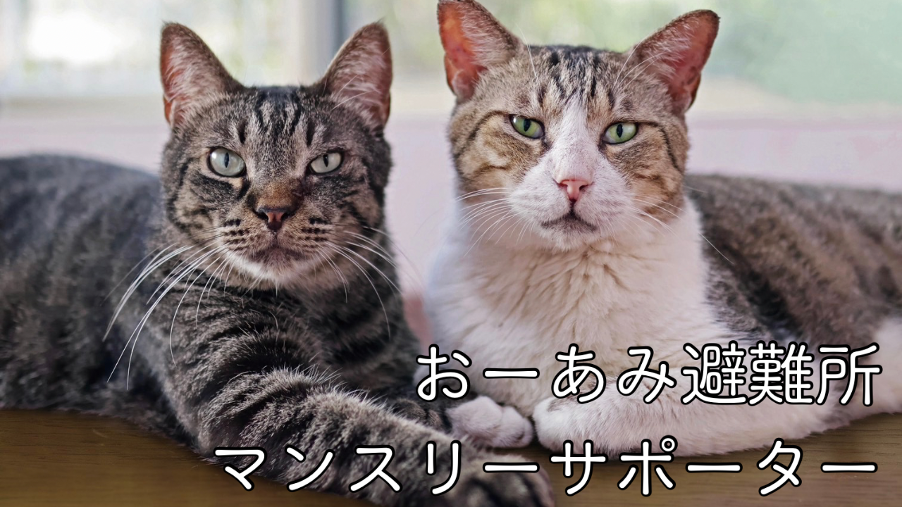 マンスリーサポーター募集！保護犬猫シェルター運営のため、おーあみ避難所を応援してください！