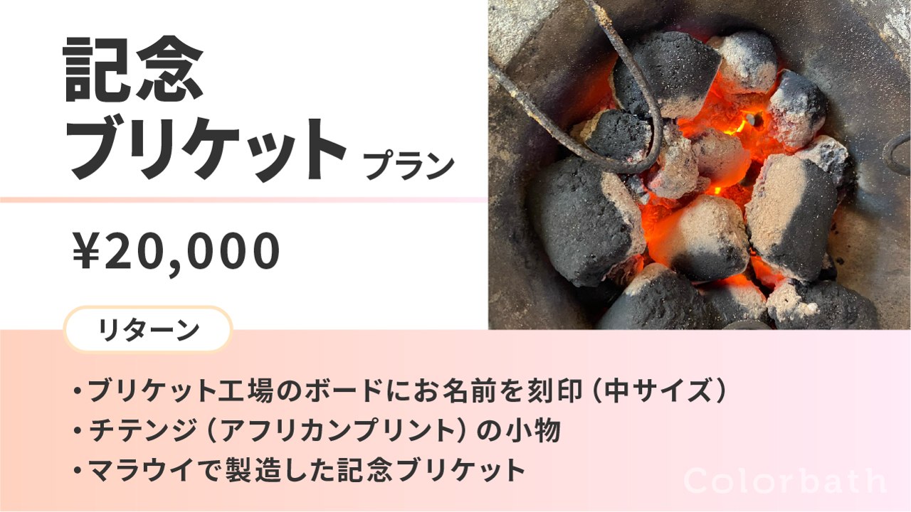 記念ブリケットプラン