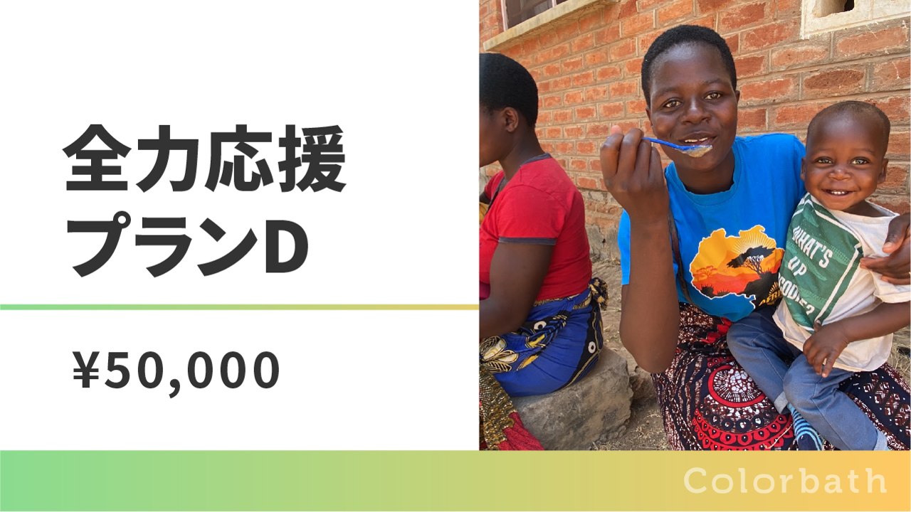 全力応援プランD