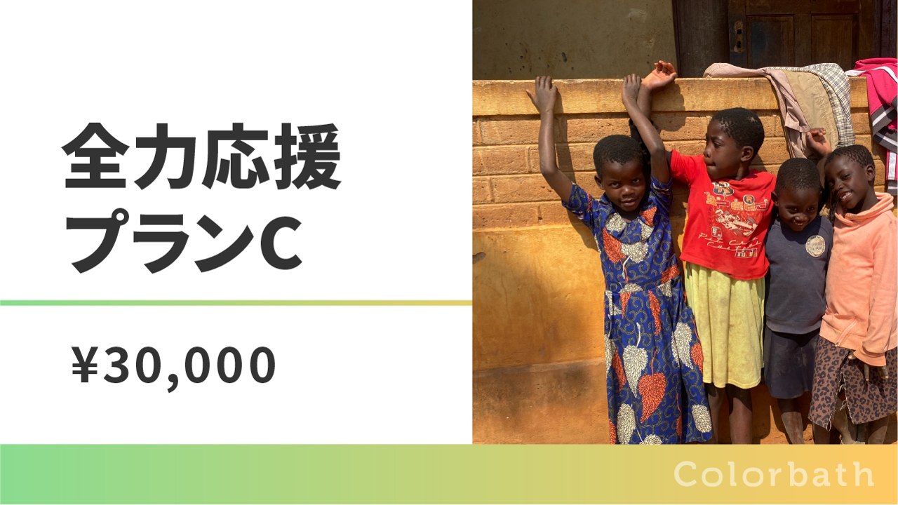 全力応援プランC