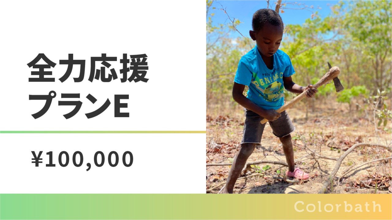 全力応援プランE