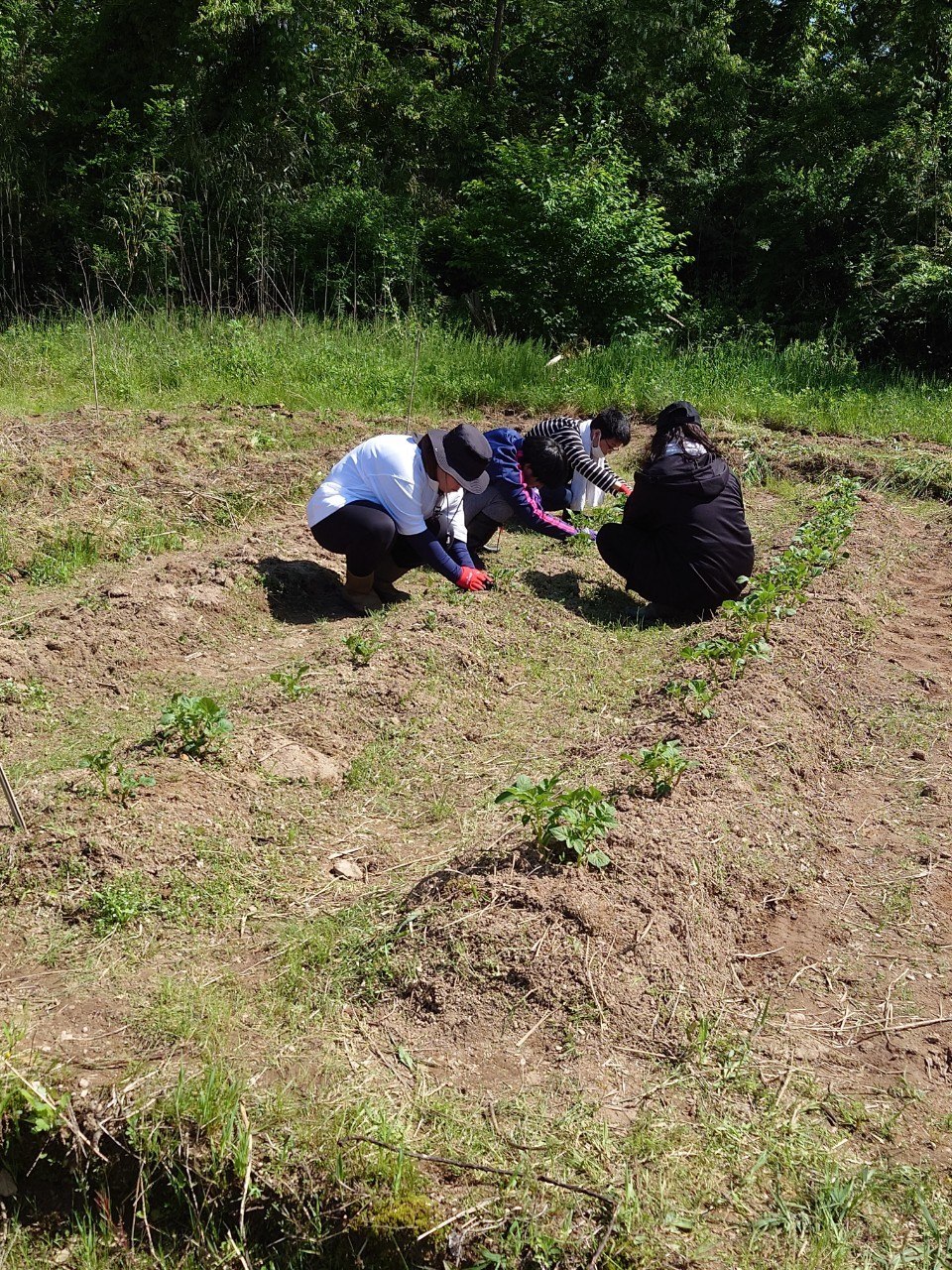 『生きる力』育む体験コース