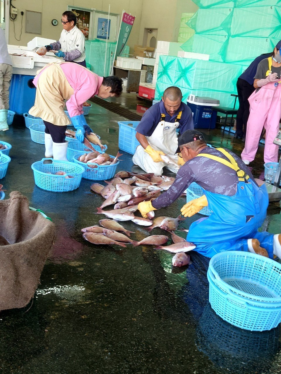 『社会と繋がる』伴走コース