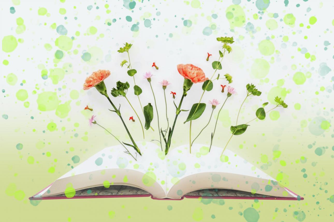img-cover