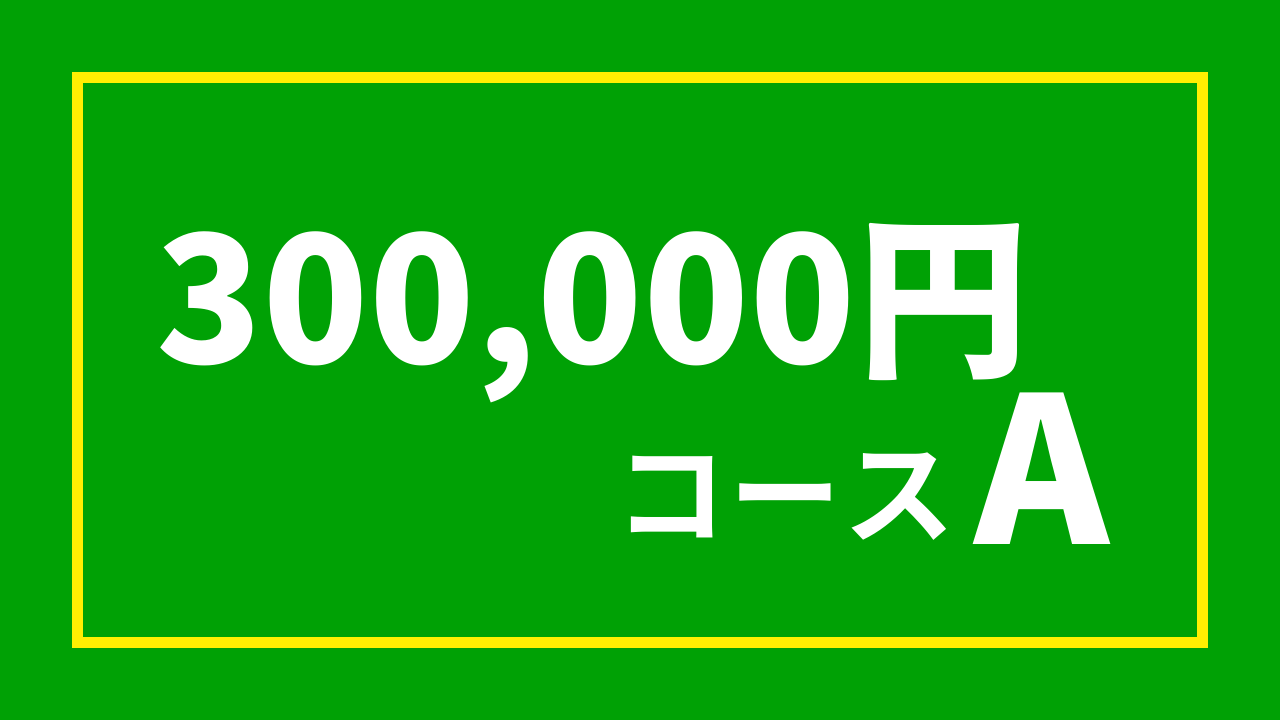 【杉浦プロ関連返礼品あり】30万円コースA(300,000円)