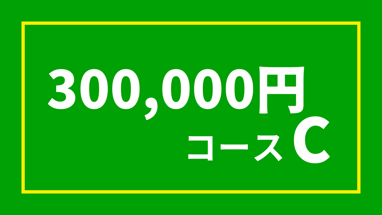 【杉浦プロ関連返礼品あり】30万円コースC(300,000円)
