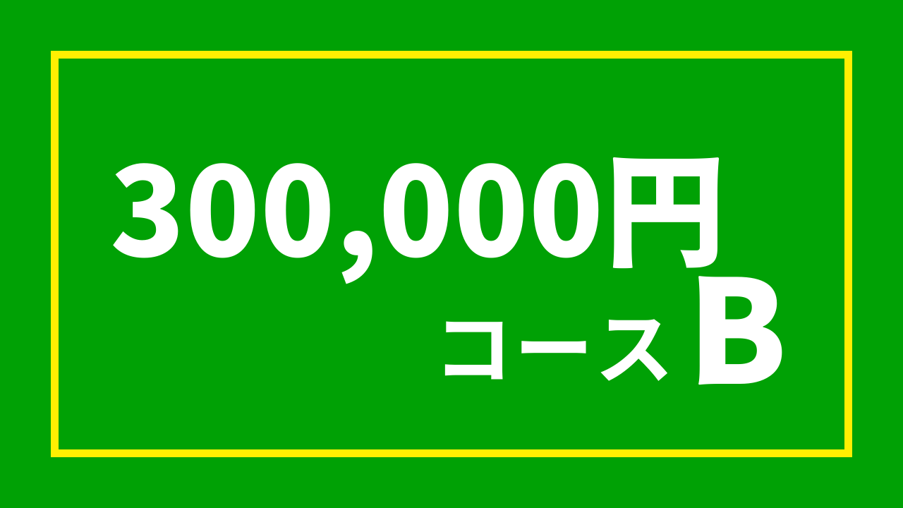 【杉浦プロ関連返礼品あり】30万円コースB(300,000円)