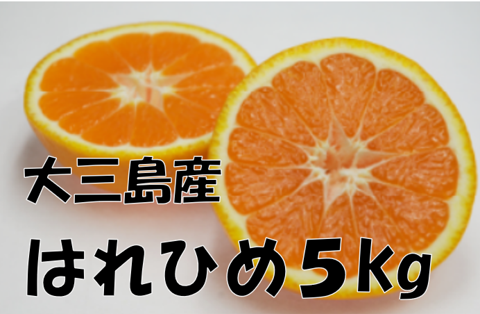 「はれひめ5Kg」コース