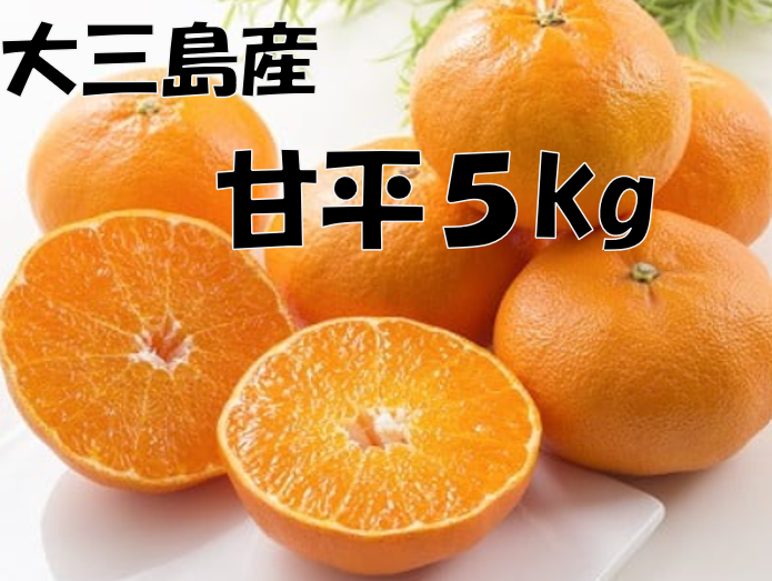 「甘平5Kg」コース