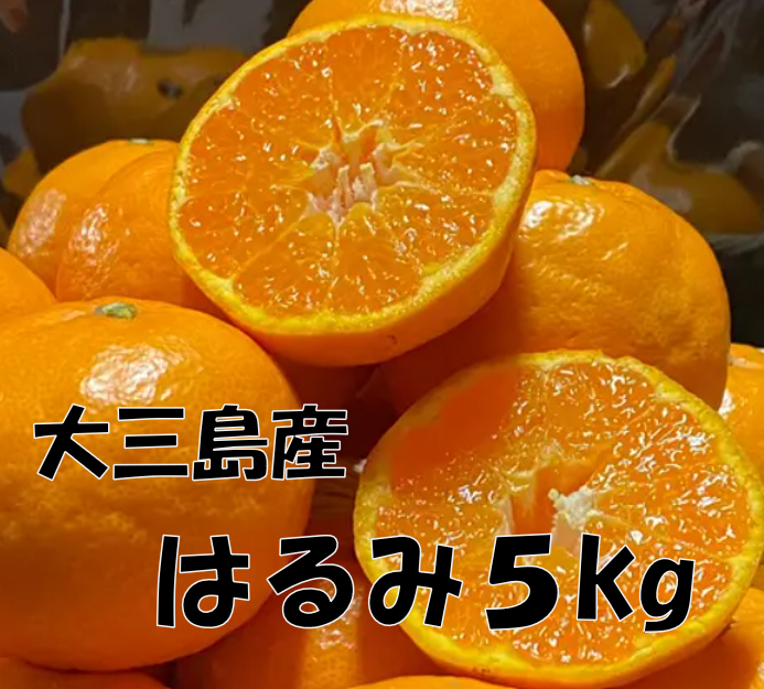 「はるみ５kg」コース