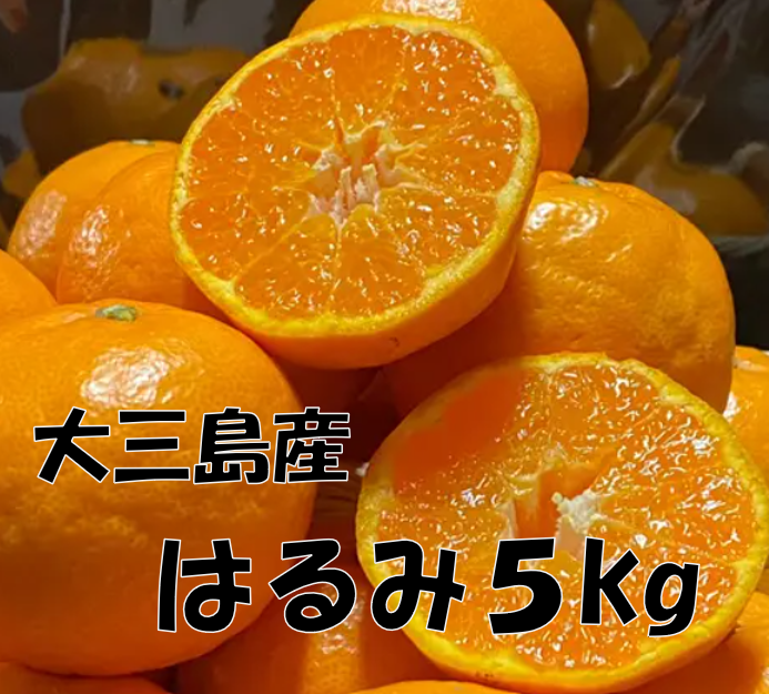 「はるみ5kg」コース
