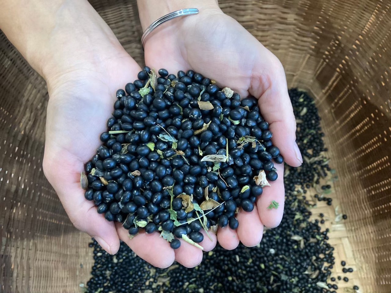 未来への種蒔き応援コース