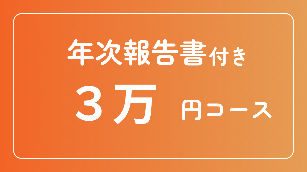 【年次報告書付き】3万円コース