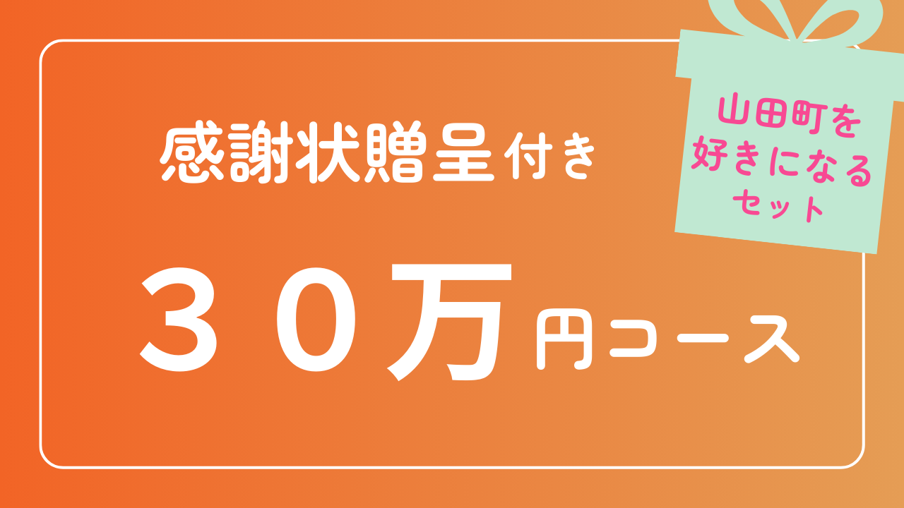 【感謝状贈呈】30万円コース