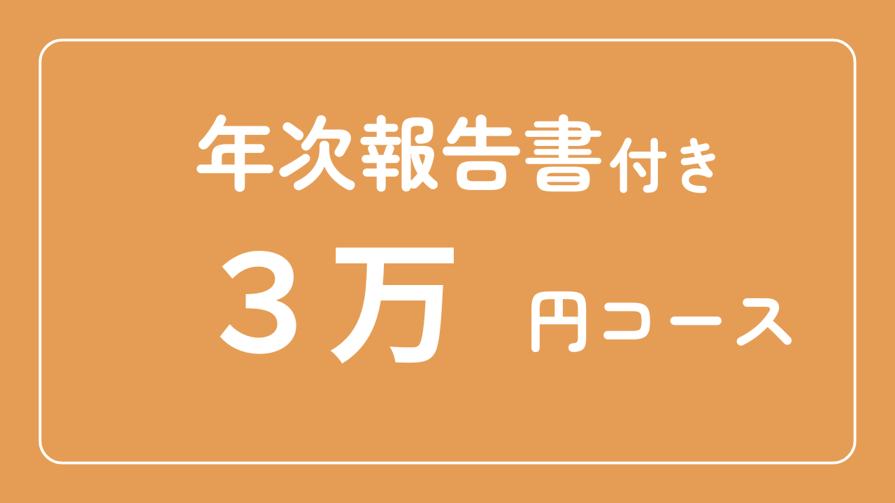 【年次報告書付き】3万円コース