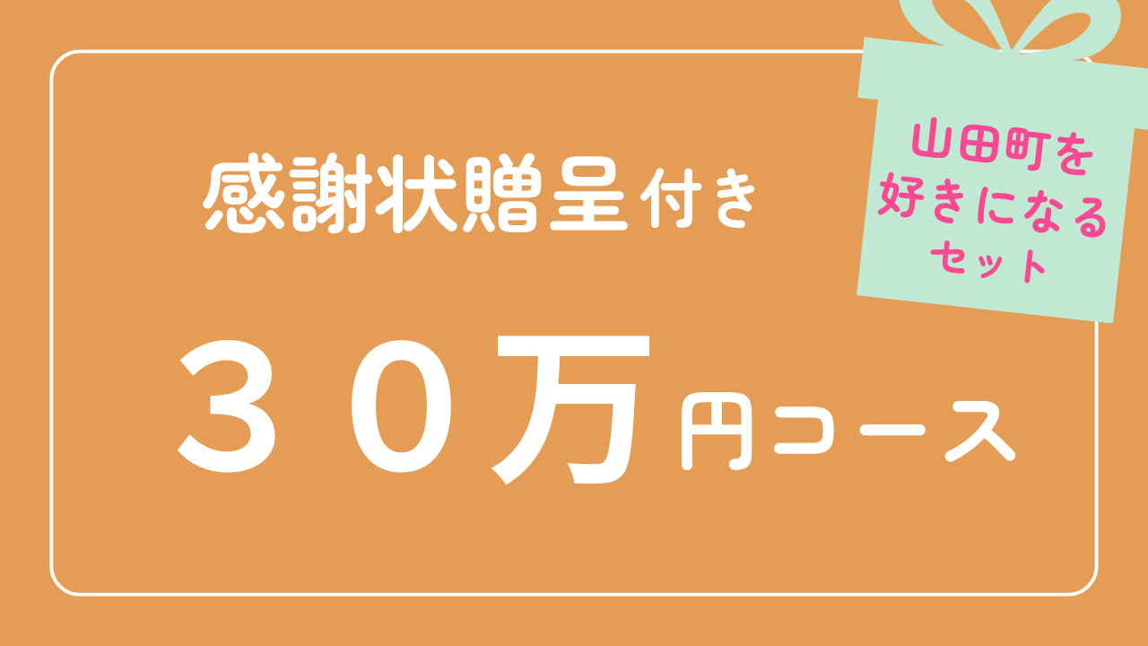 【感謝状贈呈】30万円コース