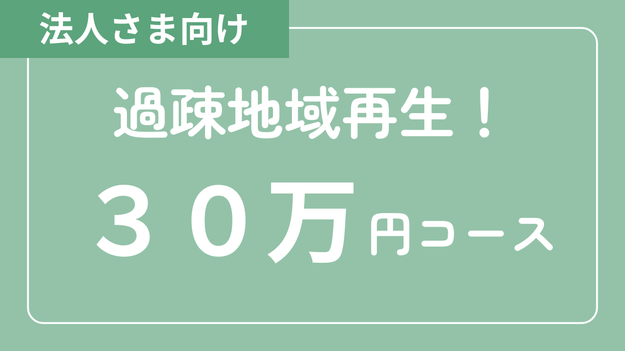 【法人さま向け】過疎地域再生！30万円コース