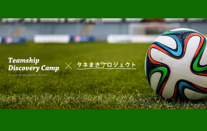 img-cover