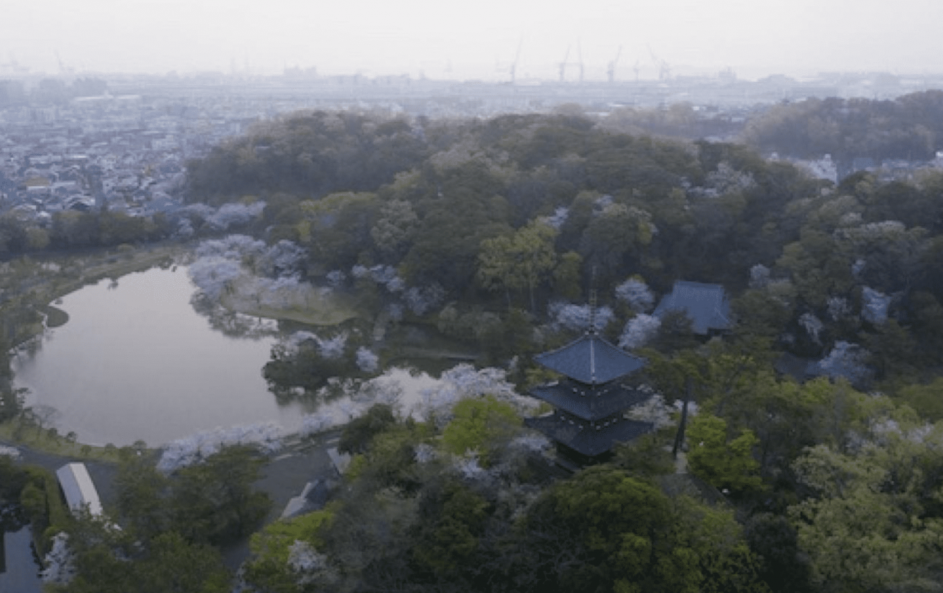 三溪園の存続に向けたマンスリーサポートのお願い