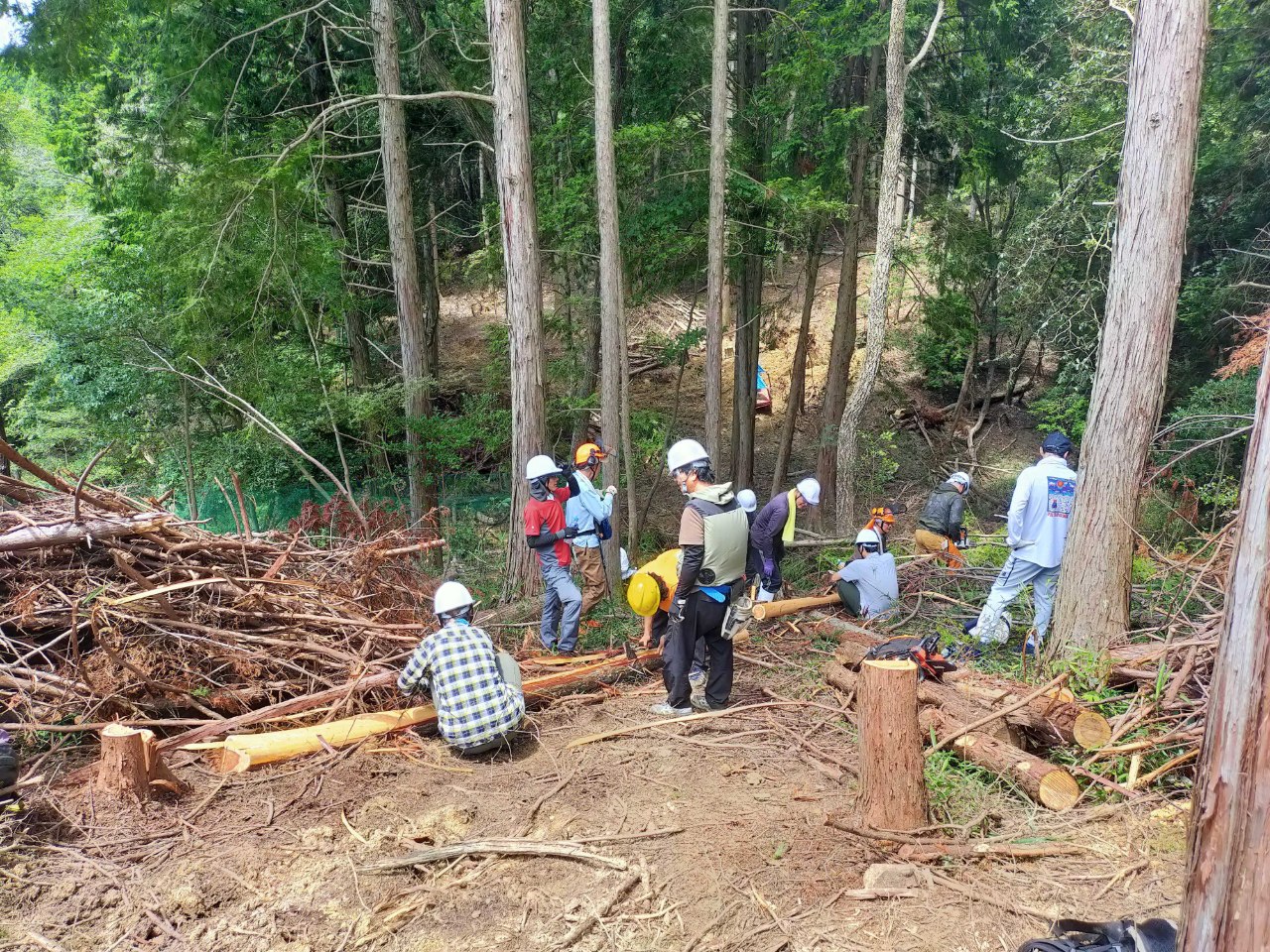 兵庫県材学習机応援コース