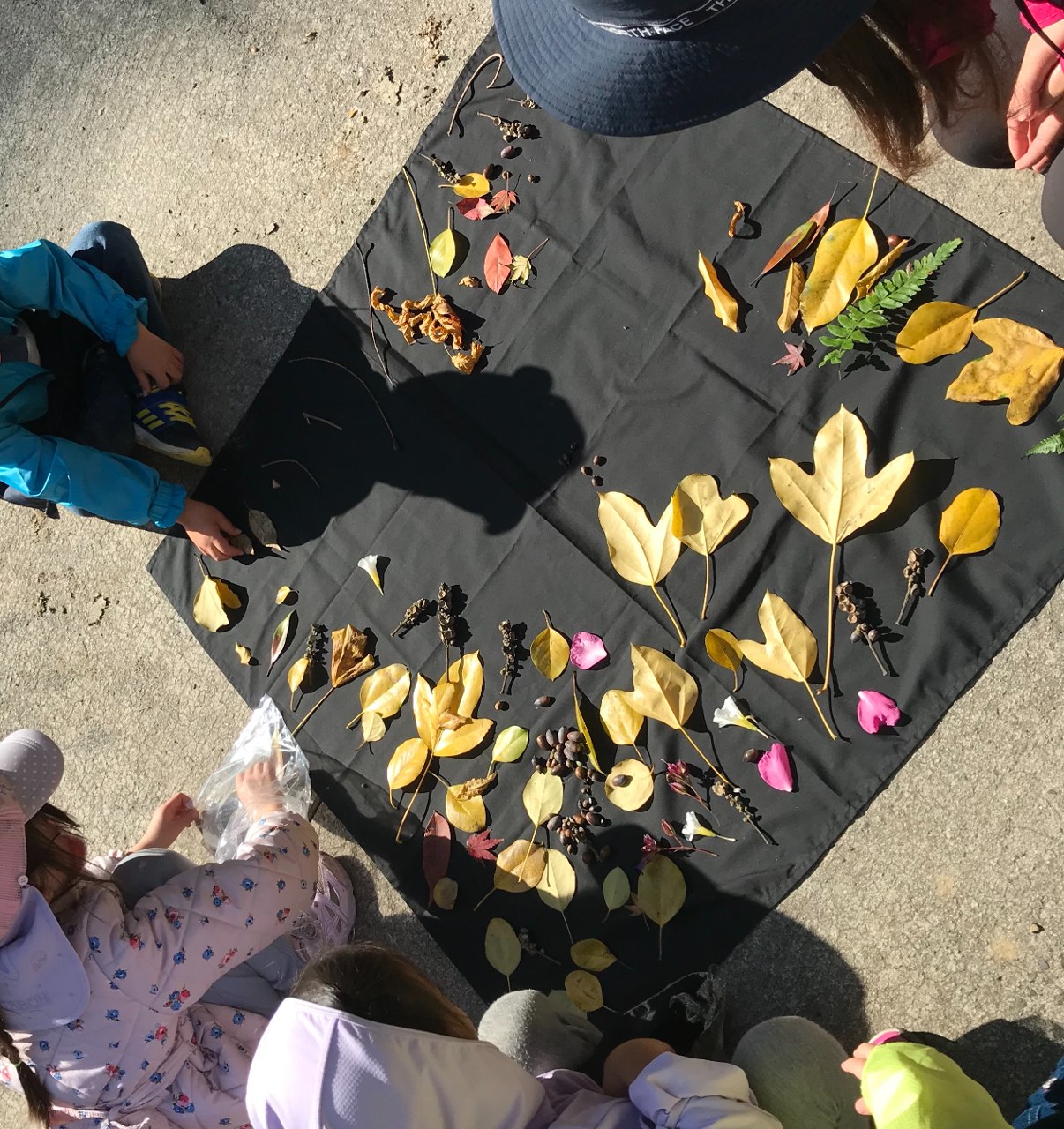 ããããæ¢æ€ã³ãŒã¹