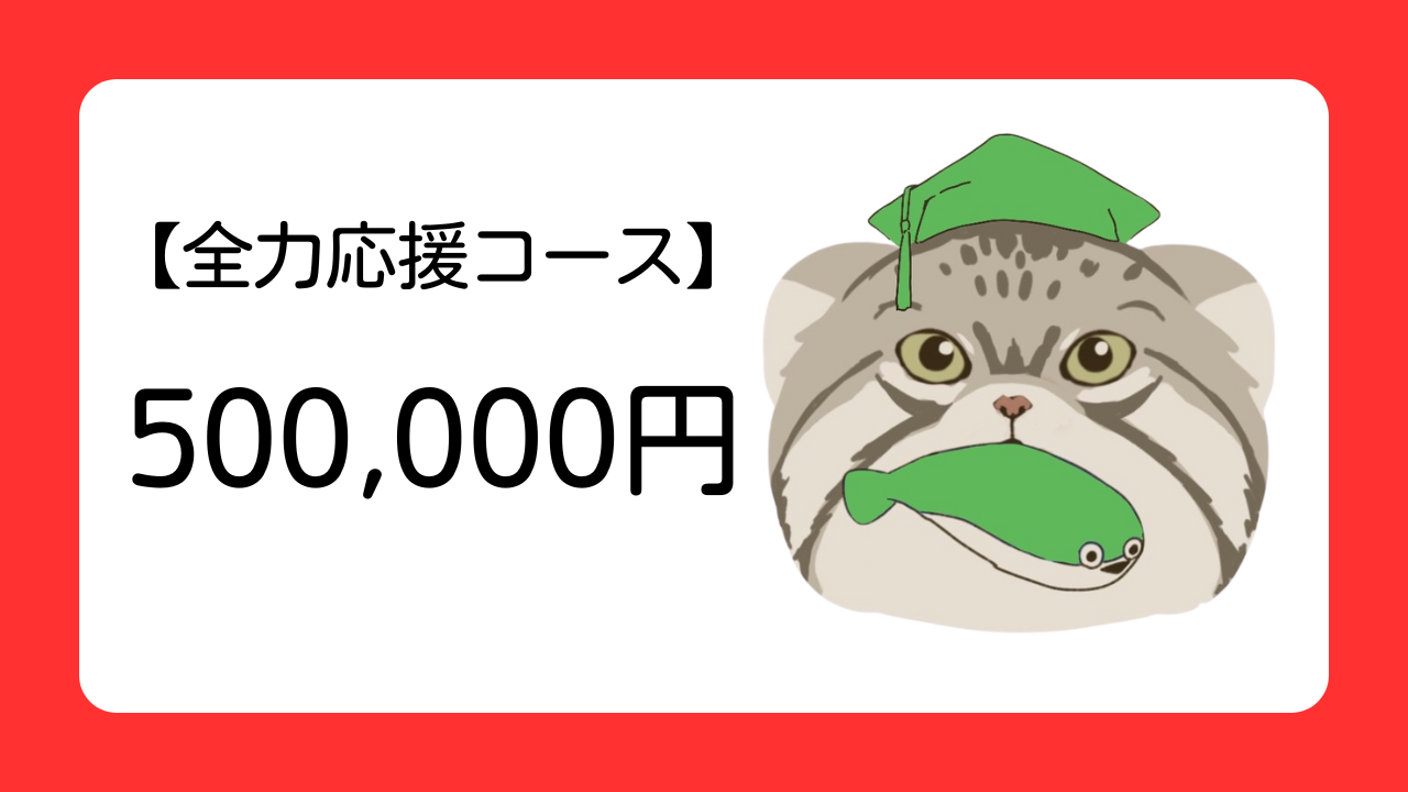 【全力応援コース】本気で若者応援!お礼のビデオをご送付