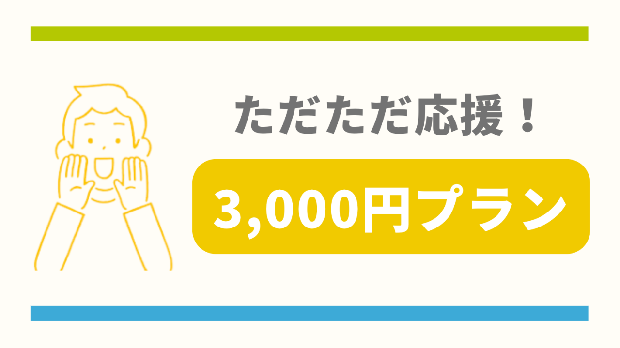 ただただ応援！3000円プラン