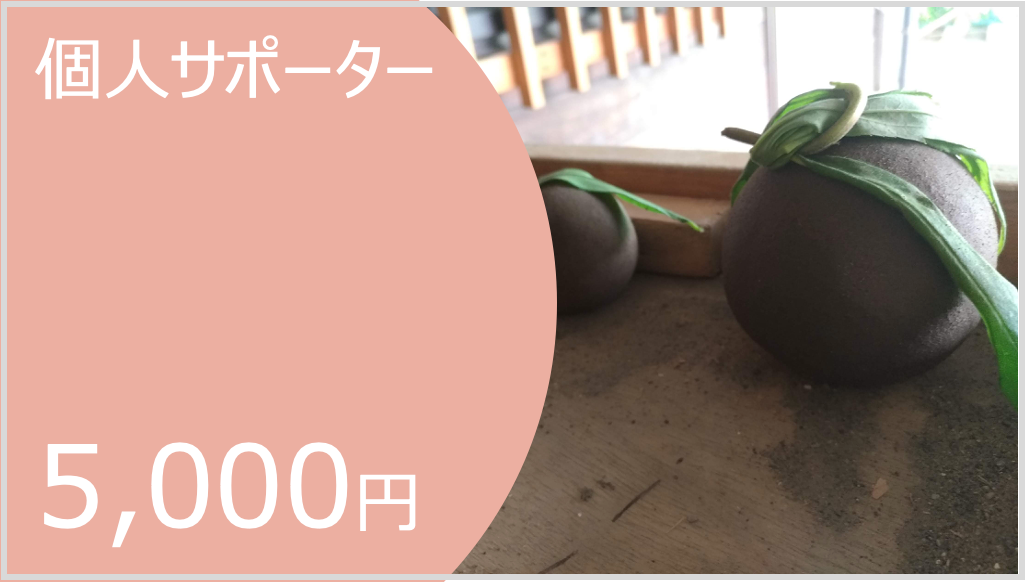 個人サポーター5,000円