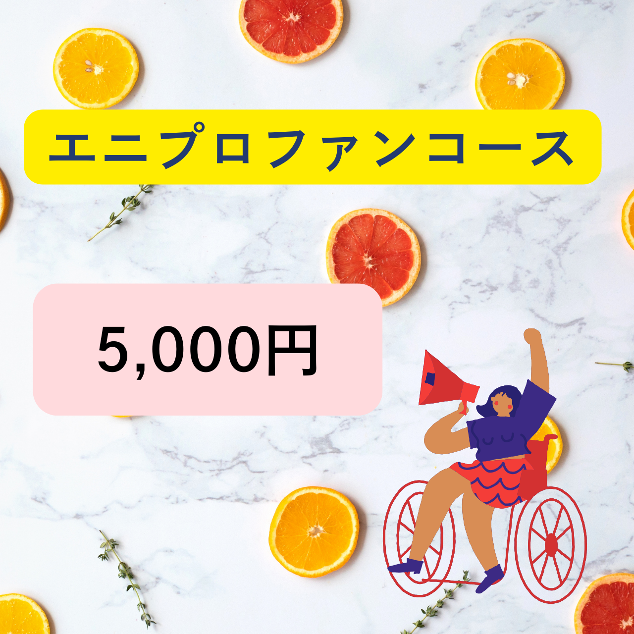 エニプロファンコース