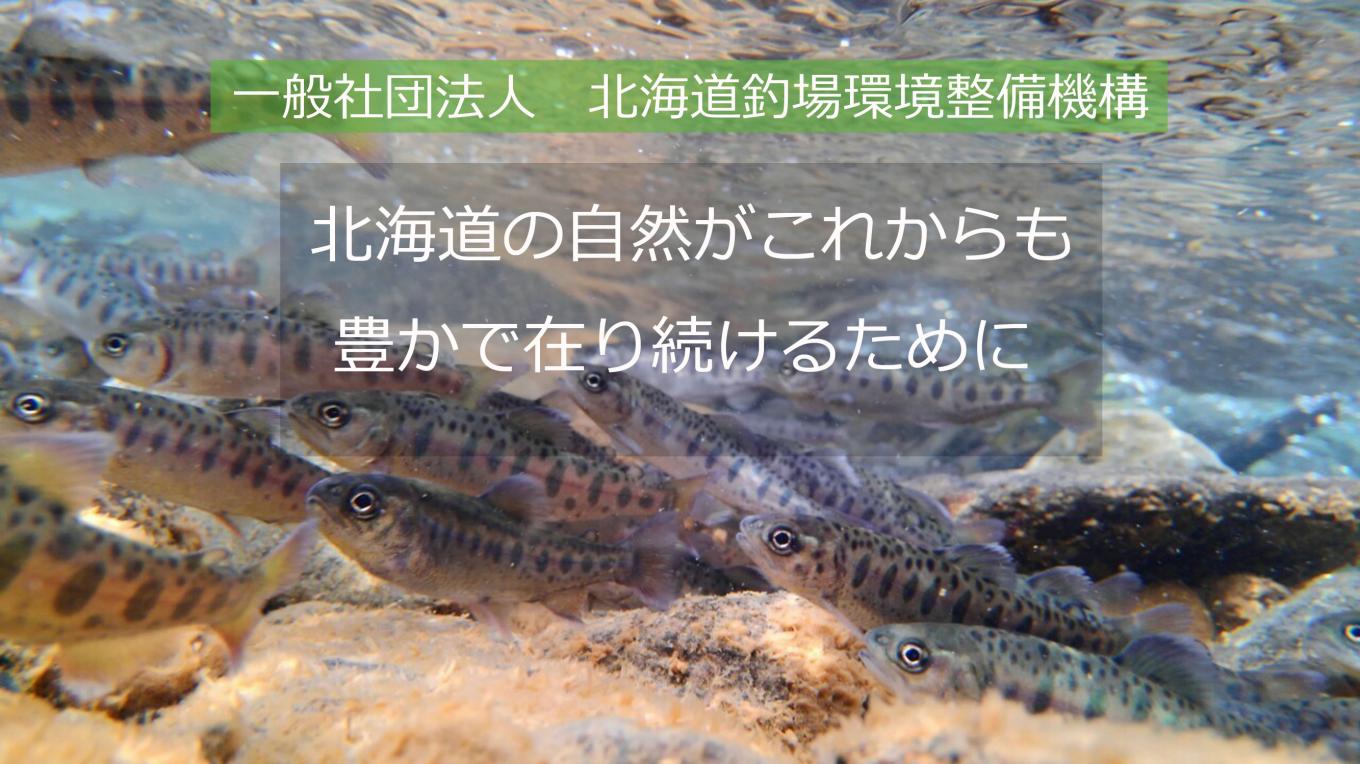 img-cover