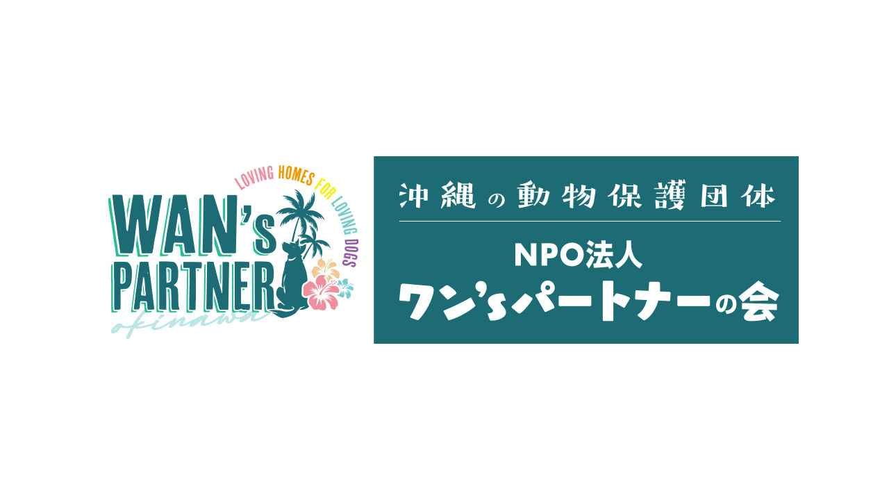img-cover