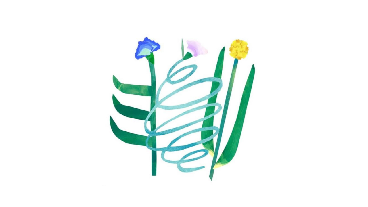 300,000円【法人・個人】