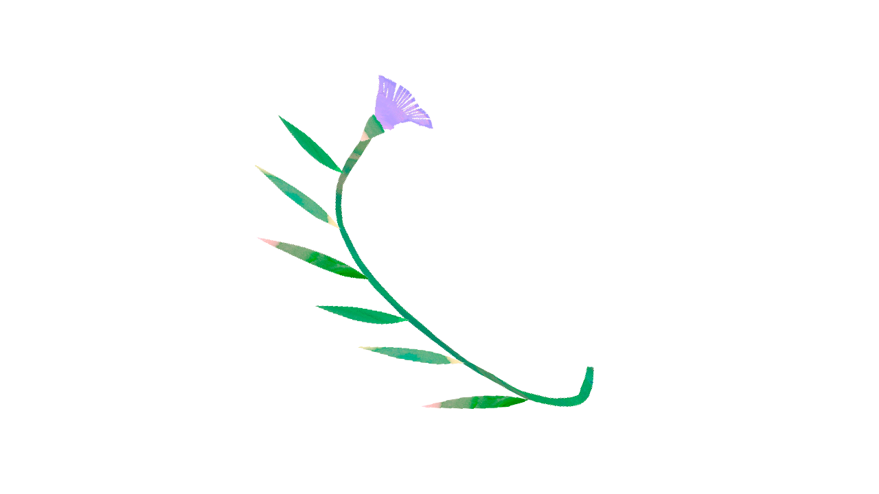 5,000円【個人】