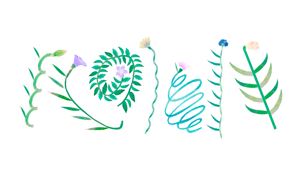 500,000円【法人・個人】