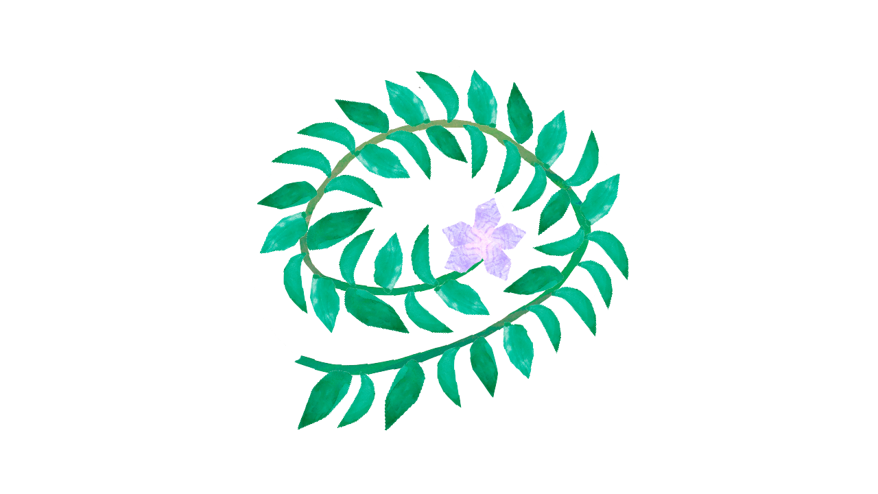 50,000円【法人・個人】