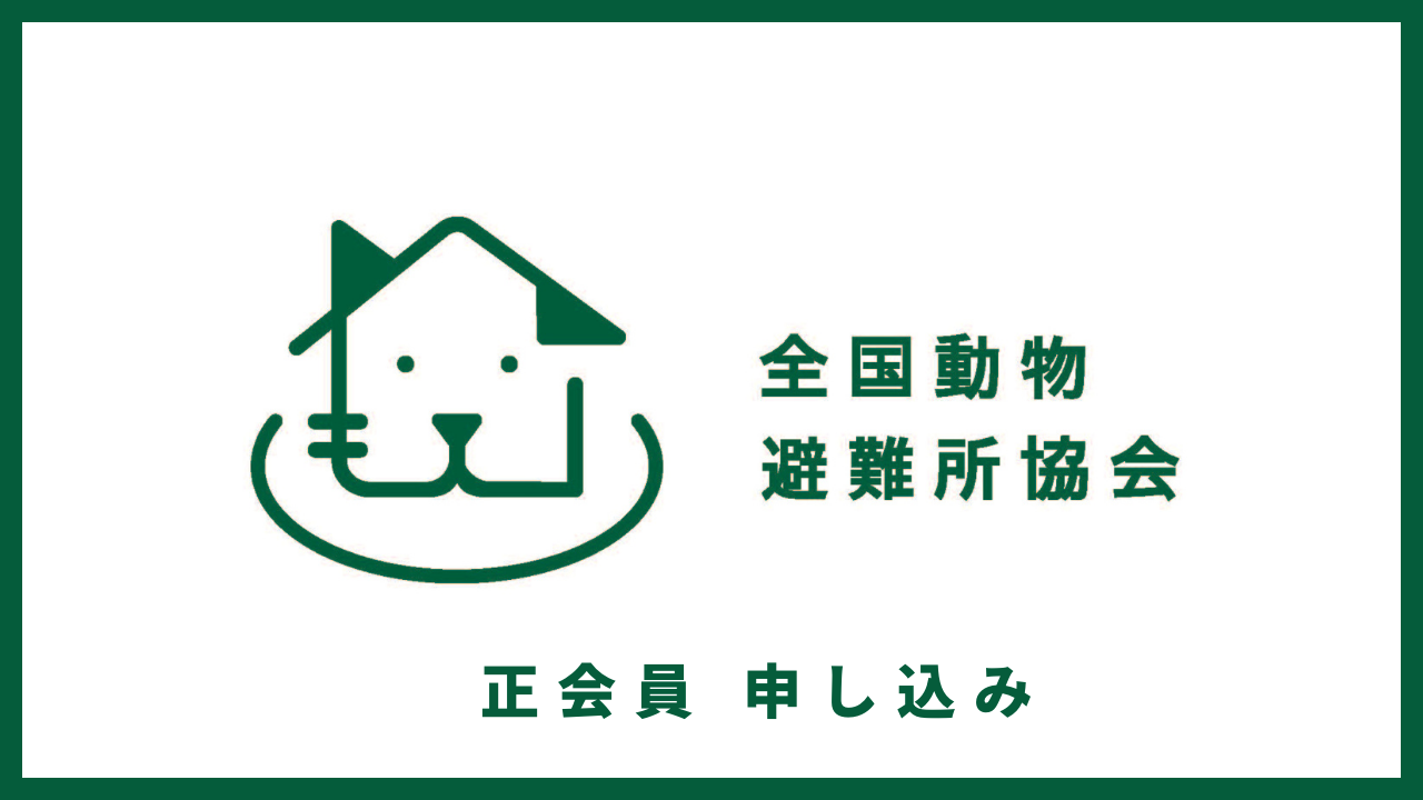 img-cover