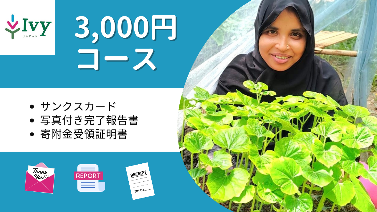 3,000円コース