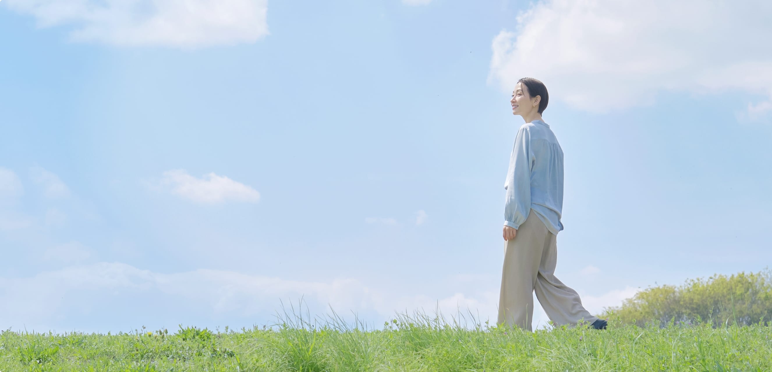 キービジュアルの画像